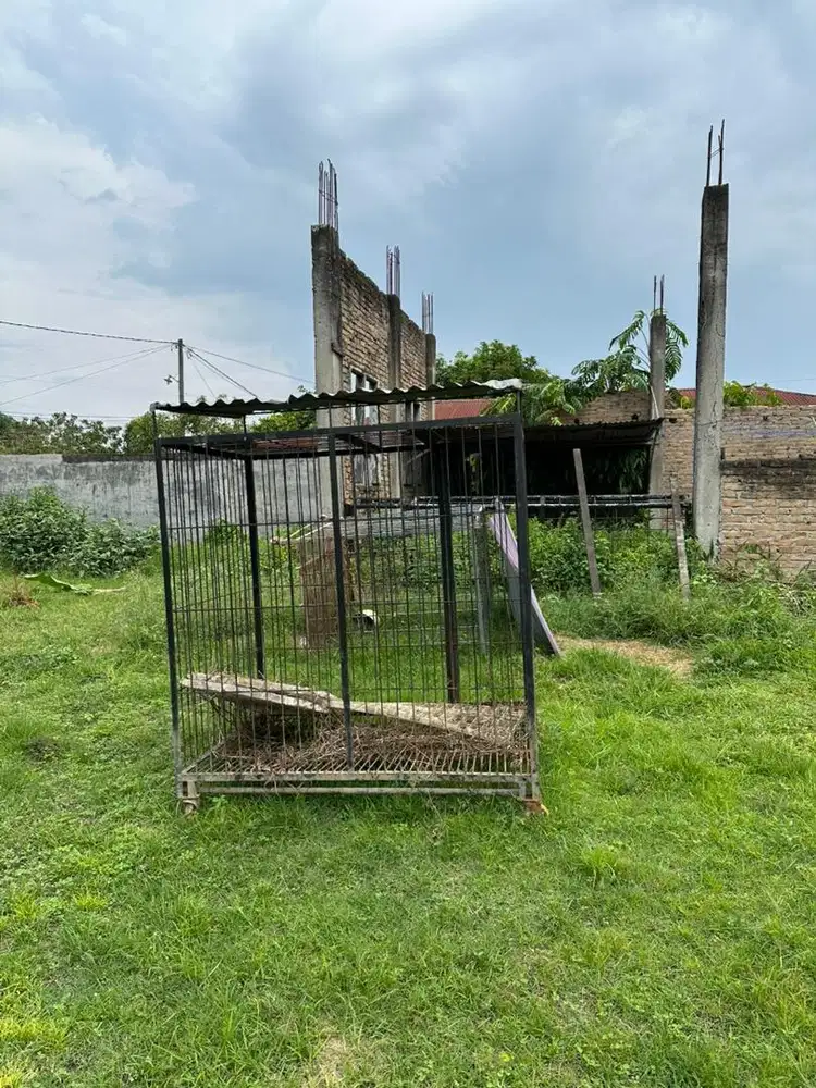 Kandang hewan peliharaan