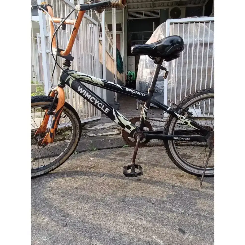 Capria sepeda anak Wimcycle Dragster ban 20
