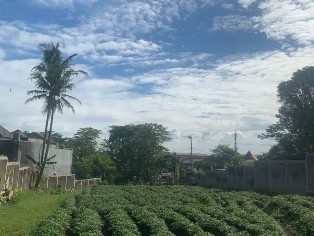 DIJUAL TANAH SAMPING LOUVIN JATINANGOR SUMEDANG KONTUR PADAT