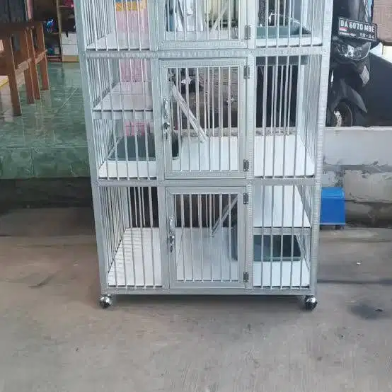 Buat ruangan plafon gypsum dan partisi kandang kucing versi murah