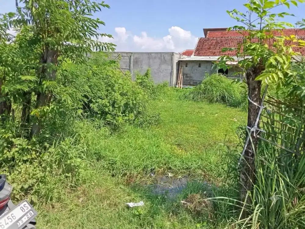 DI JUAL CEPAT TANAH di probolinggo