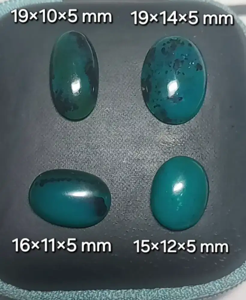 Bacan majiko borongan 4 pcs