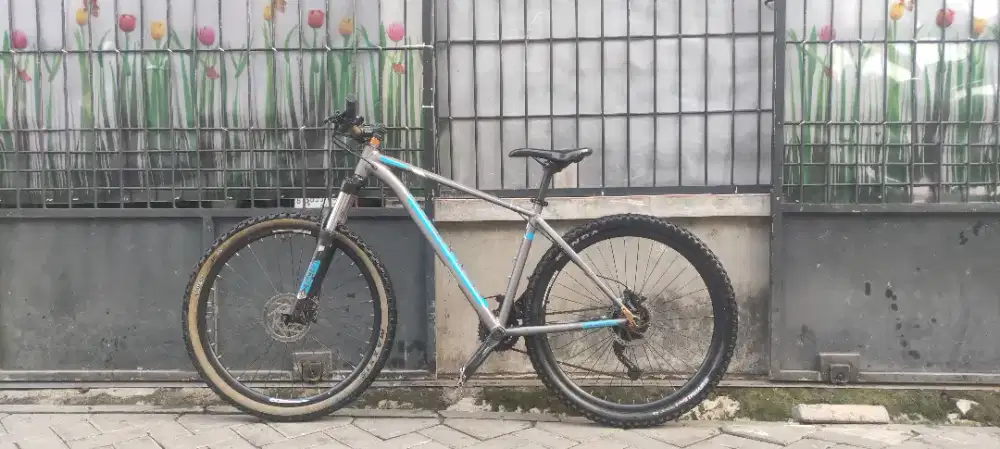 Sepeda Polygon Xtrada 5