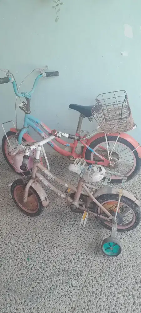 SEPEDA ANAK PASIPIC