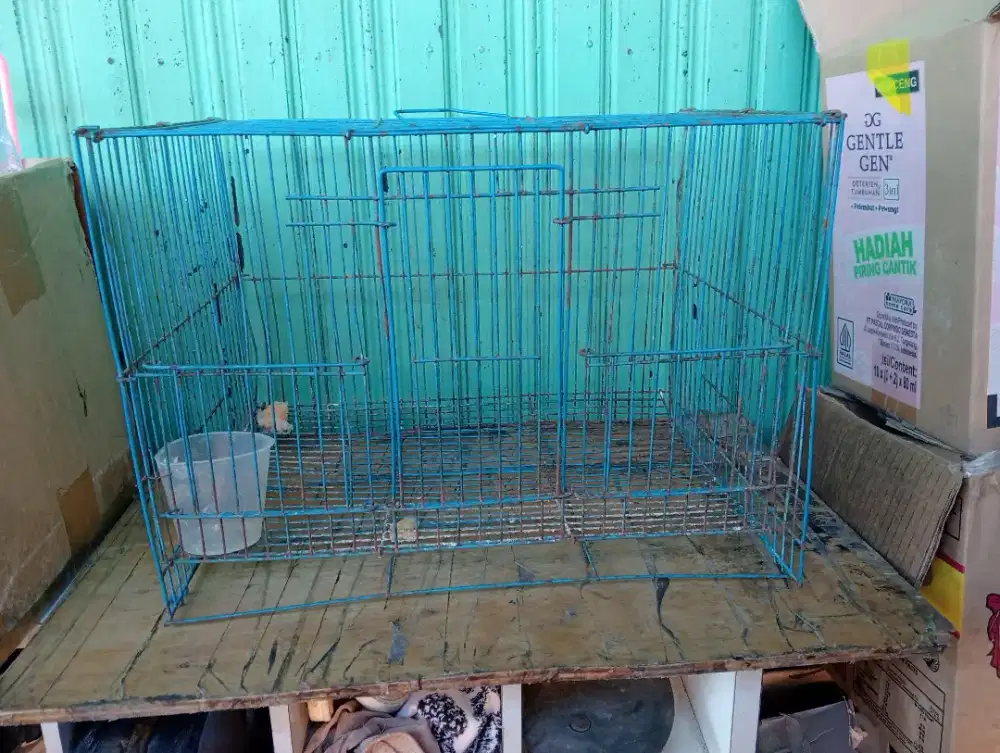 Kandang burung,hamster,anak kucing