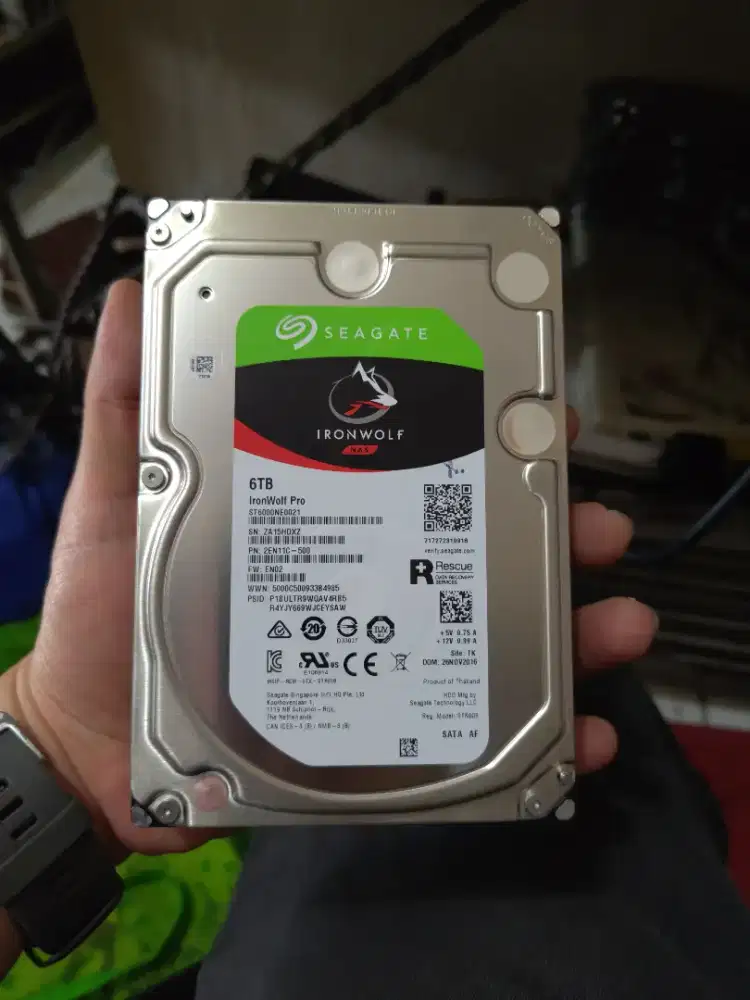 Hardisk Seagate iron wolf nas 6tb sentinel 100