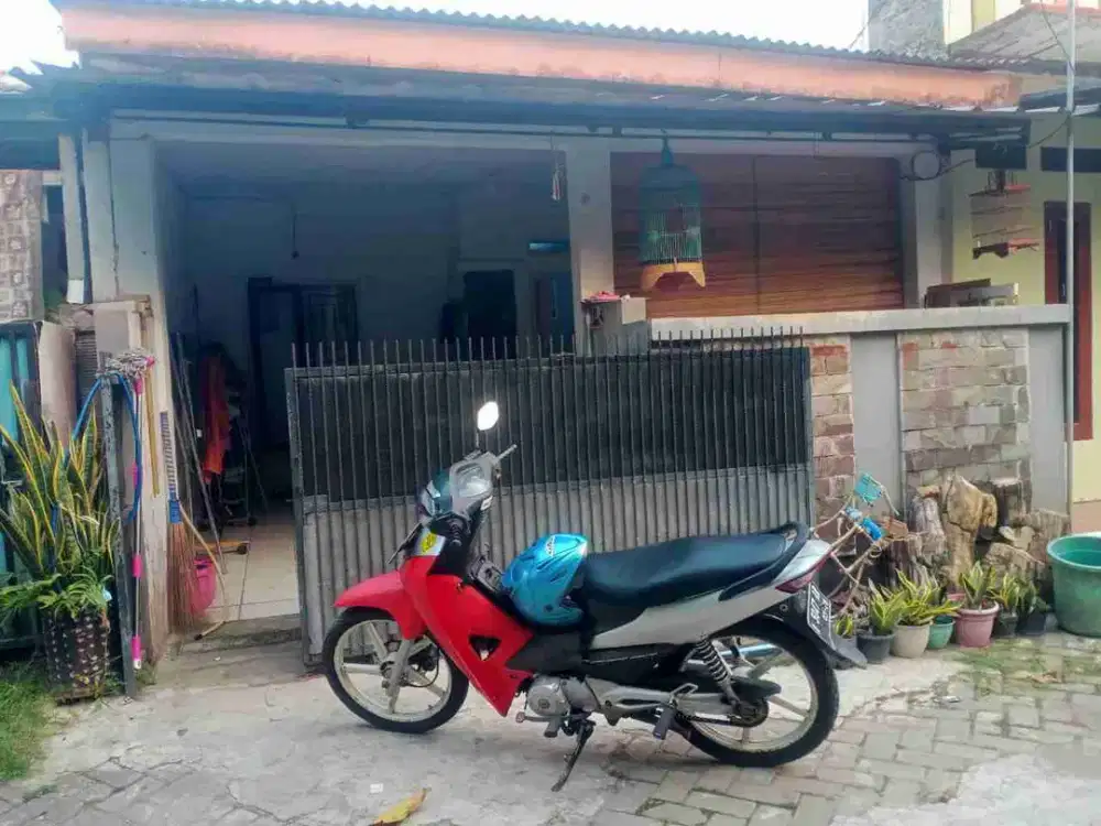 rumah di Safira sepang kota serang banten