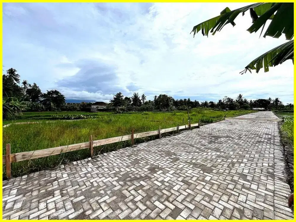 Dekat Raminten Jakal Tanah Jogja di Jl. Kembangan-Rejodani
