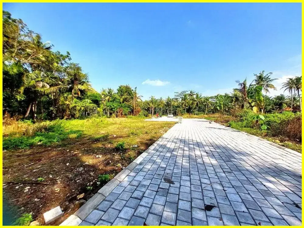 Tanah Dijual Jogja di Tawangsari Dekat Terminal Wates
