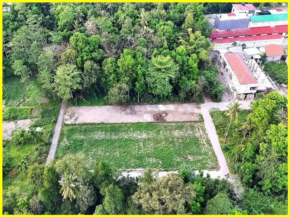 Dekat Kampus UGM Dijual Tanah Jogja Jl. Kaliurang Km.13