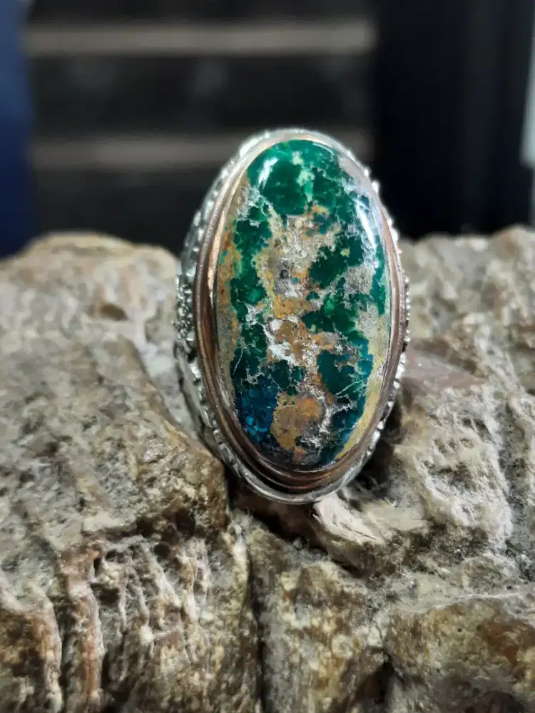 Pirus Hijau Dondong Persia