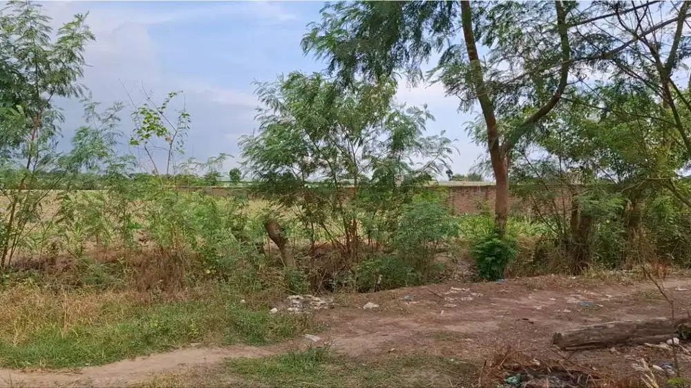 Dijual Tanah 10x20M (No Agen/No Calo/No Makelar)