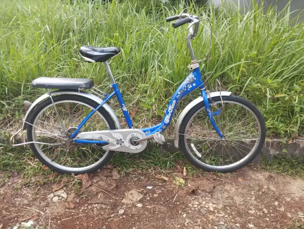 Sepeda kumbang, Sepeda wanita