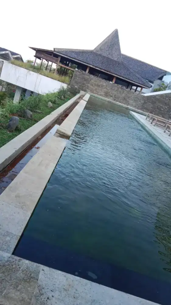 Di cari pool&garden maintenance