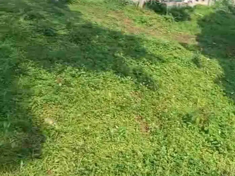 DIJUAL TANAH UNTUK VILLA