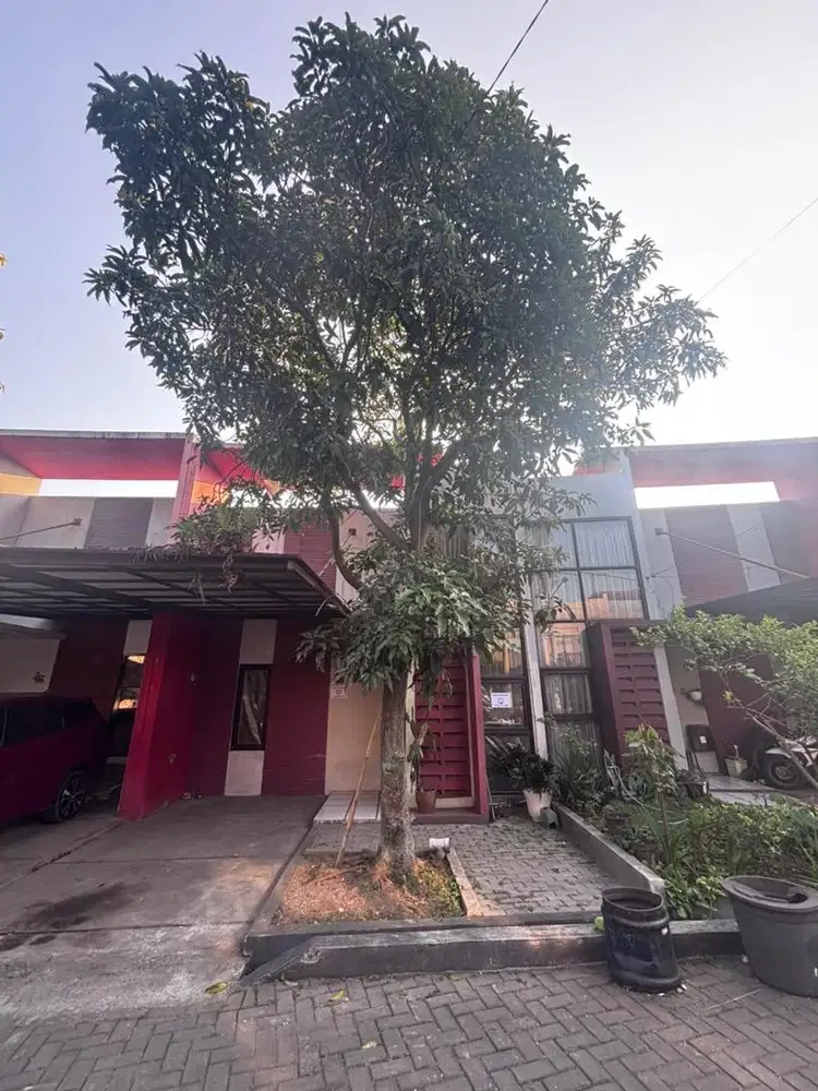 Disewakan 1 Rumah di Vinus Sayang Jatinangor