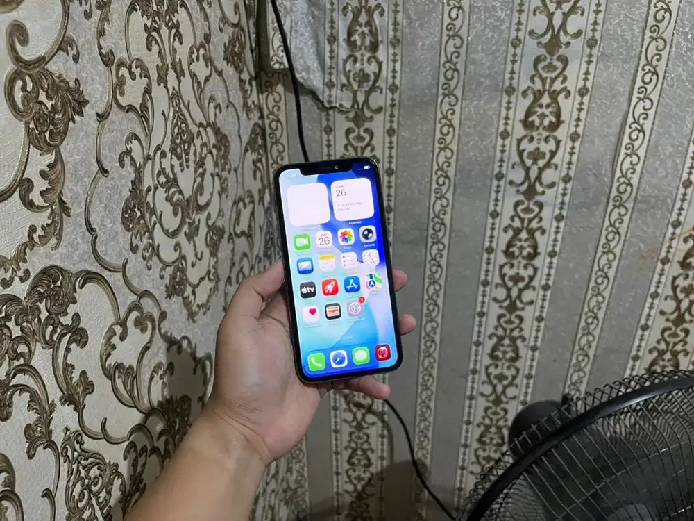 iPhone 11 Pro 256 Gb Beacukai
