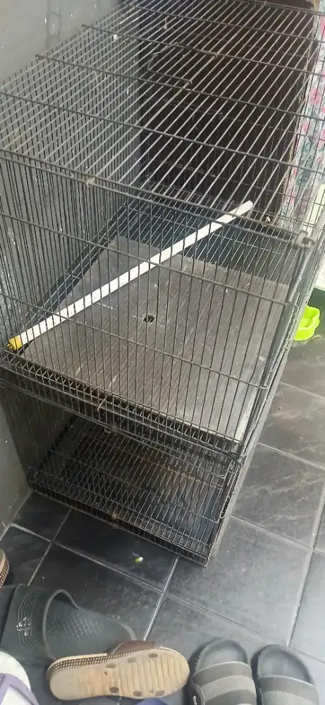 Kandang ,Sangkar Besi Kotak