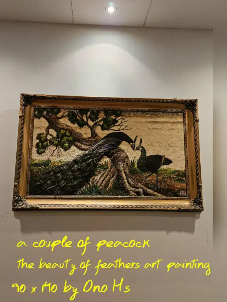 Dua Sejoli Burung Merak