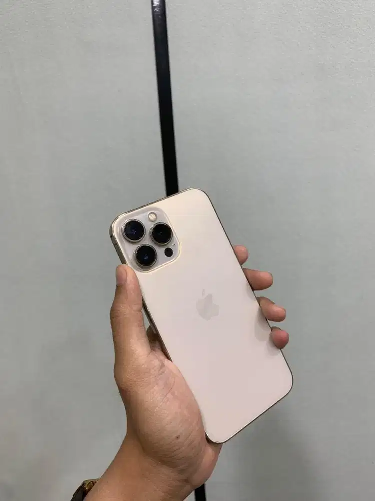 iPhone 13 Promax 128Gb Allop