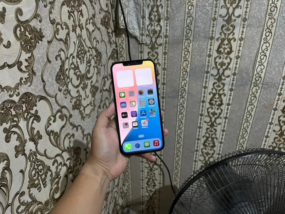 iPhone 12 Promax 256 Gb All Operator