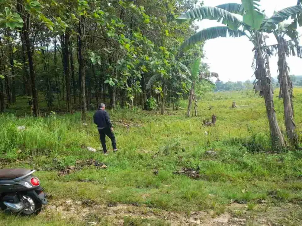 Dijual tanah Klapanunggal.Bogor