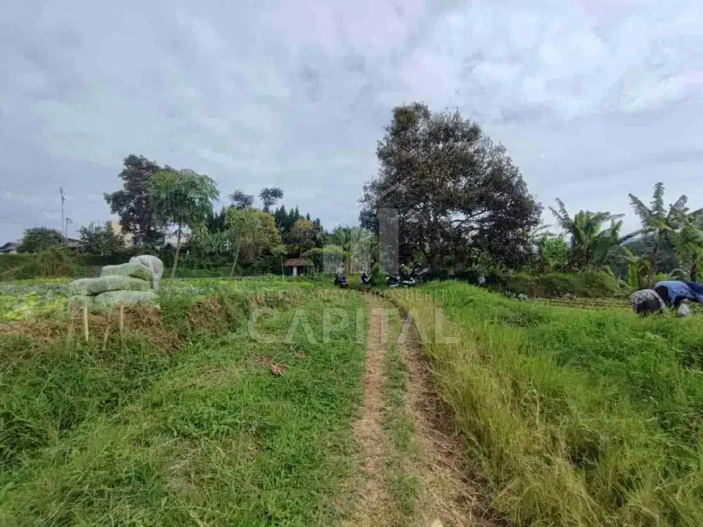 Hot Deal! Tanah View Lembah di Sukamulya Sayap Setiabudi Regency