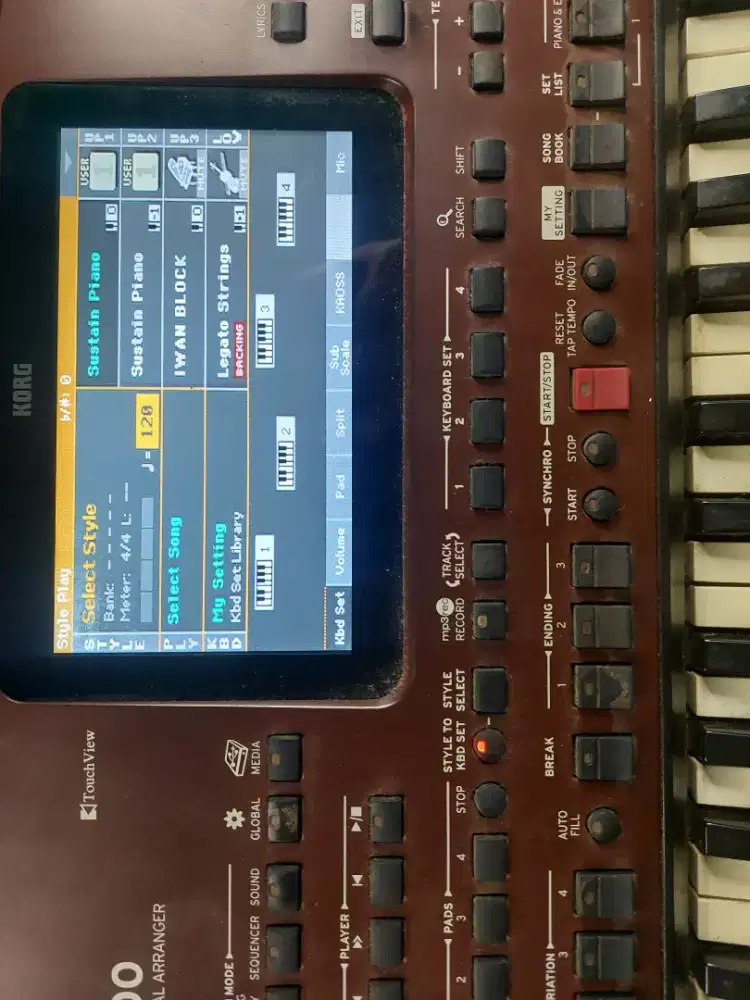 Korg pa 700 RCA