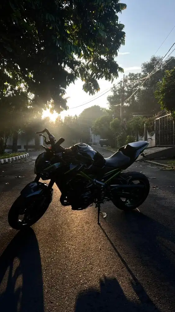 Kawasaki z900 2017