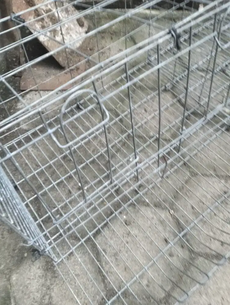 Jual kandang ayam petelor