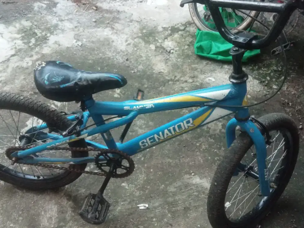Sepeda anak BMX ban 18