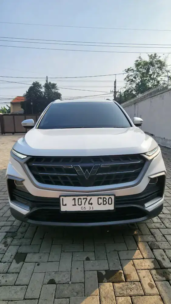 Almaz SE MT 2021