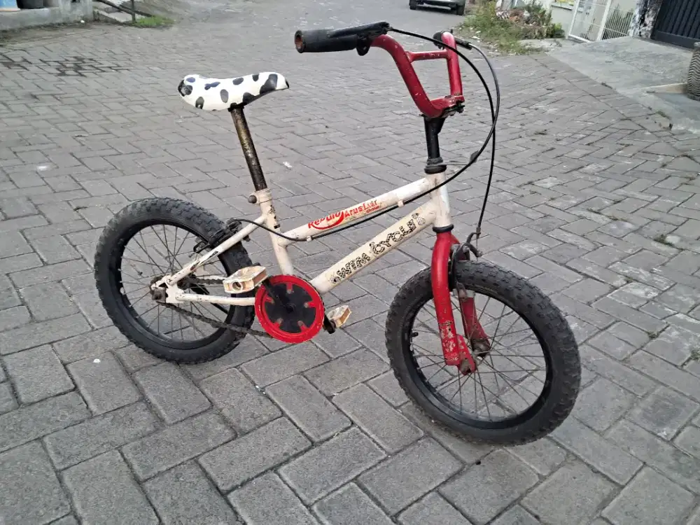 Sepeda Anak Wimcycle Original