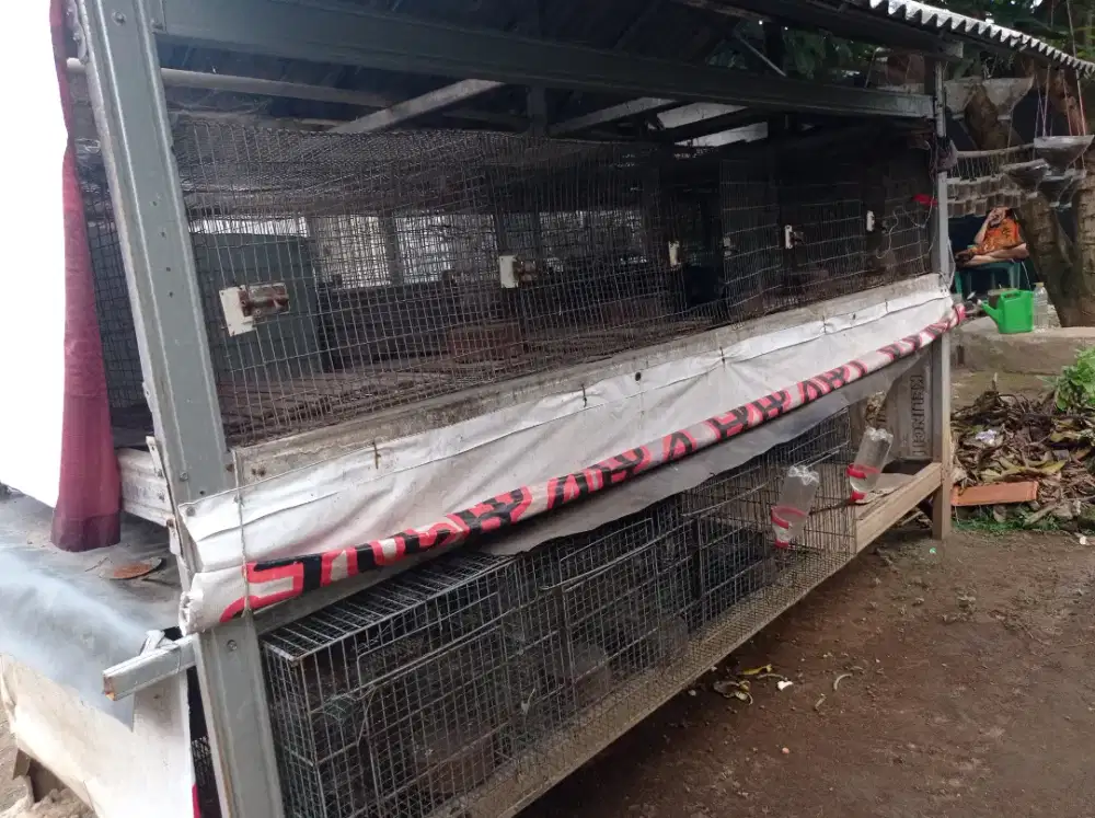 Paket Kandang Galvanis Serbaguna Banyak Bonusnya