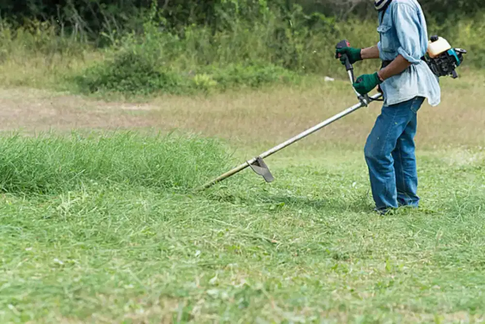Jasa potong rumput