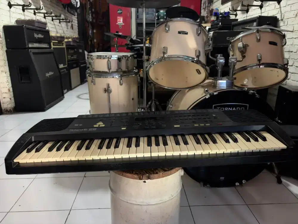 Keyboard ROLAND E28 Orgen piano Roland E 16 E26