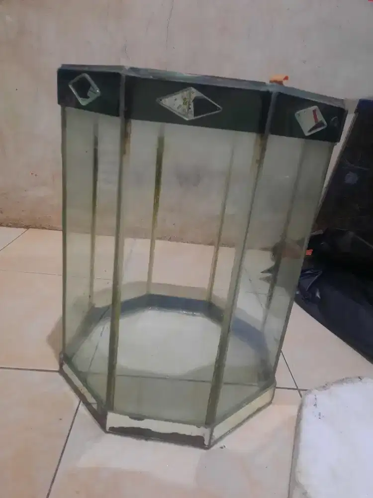 AQUARIUM ikan hias
