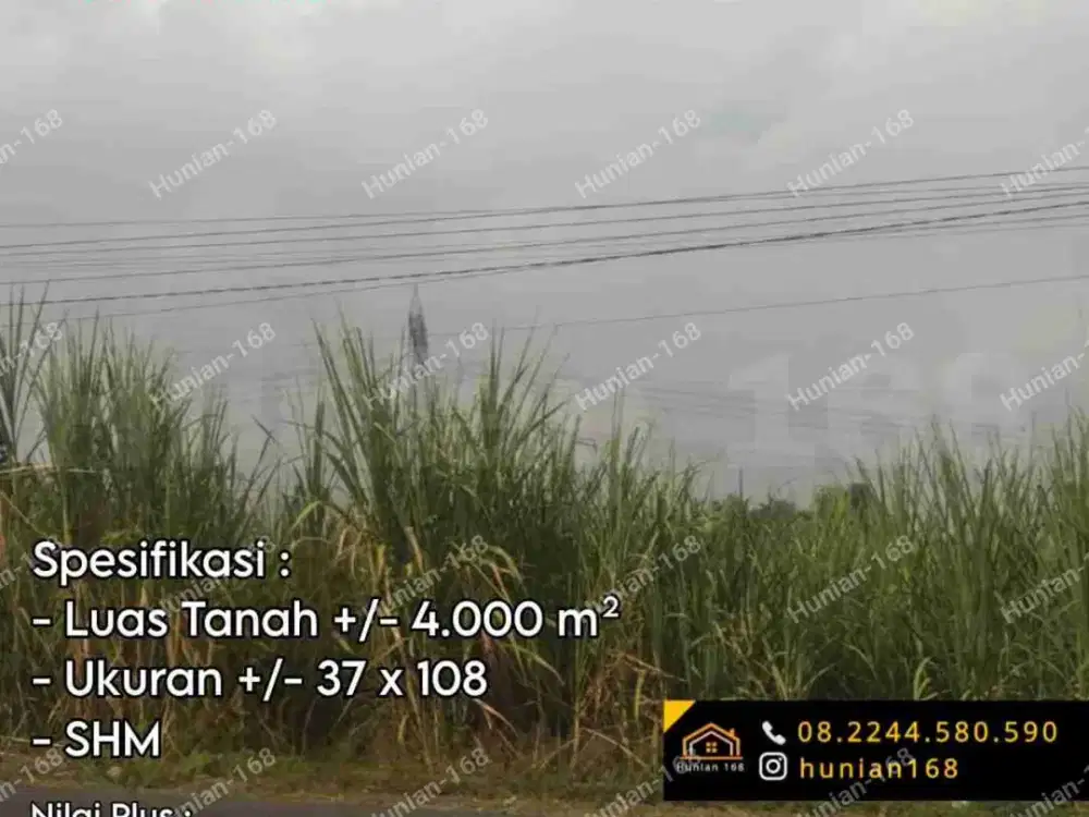 Gudang Tanah Pabrik Industri Jalan Raya Provinsi Kedamean Gresik Cangkir Driyorejo Propinsi Karangandong Wringin Anom Legundi Business Park Bizpark Sumo Estate Surabaya
