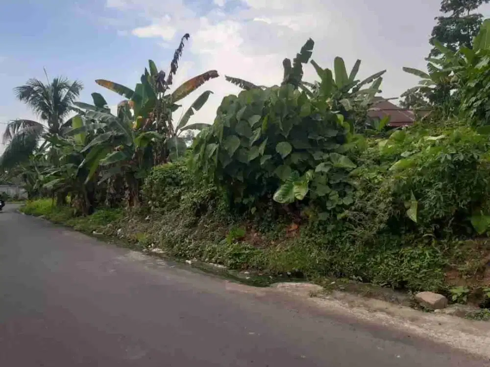 DIJUAL CEPAT TANAH CANTIK DAERAH MAUMBI, HARGA SANGAT MURAH