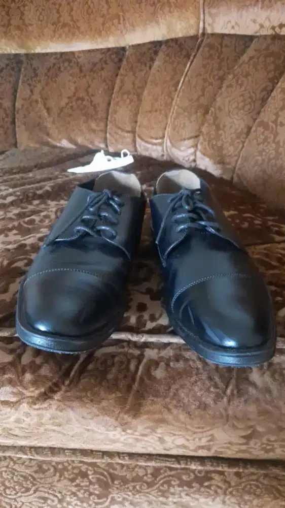 Sepatuu pria merek wetan