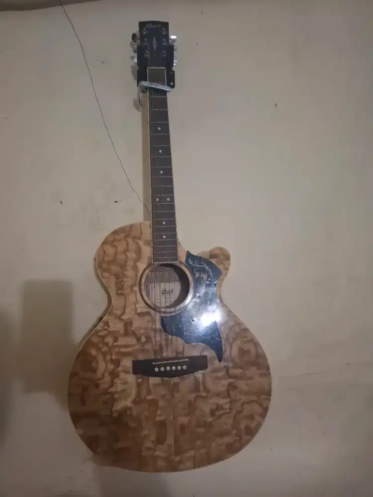gitar akustik cort original sfx ab nat