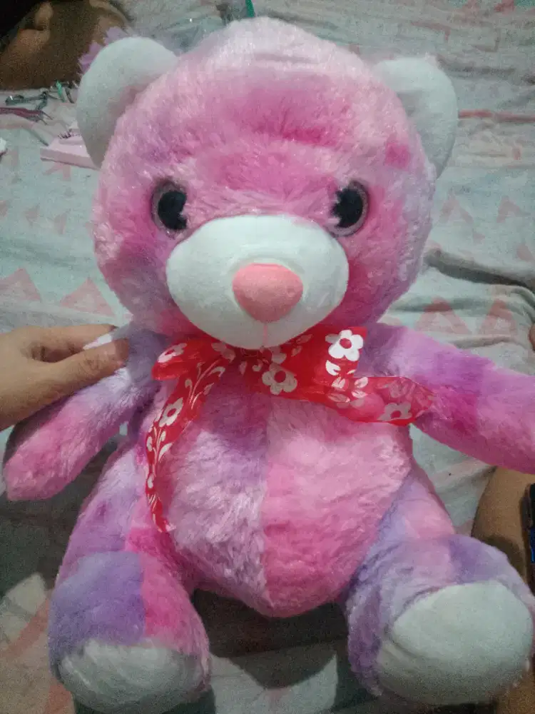Boneka bear rainbow