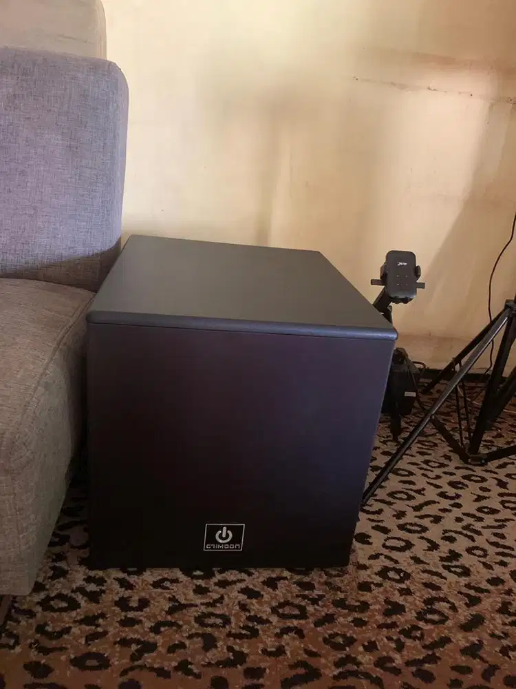 Active Subwoofer 12 inc