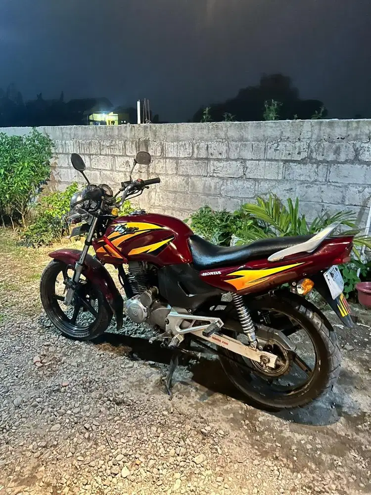 motor tiger mulus