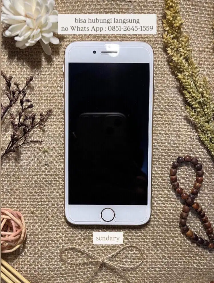 IPHONE 8 (256GB)