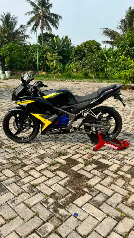 Ninja RR orsinil deler