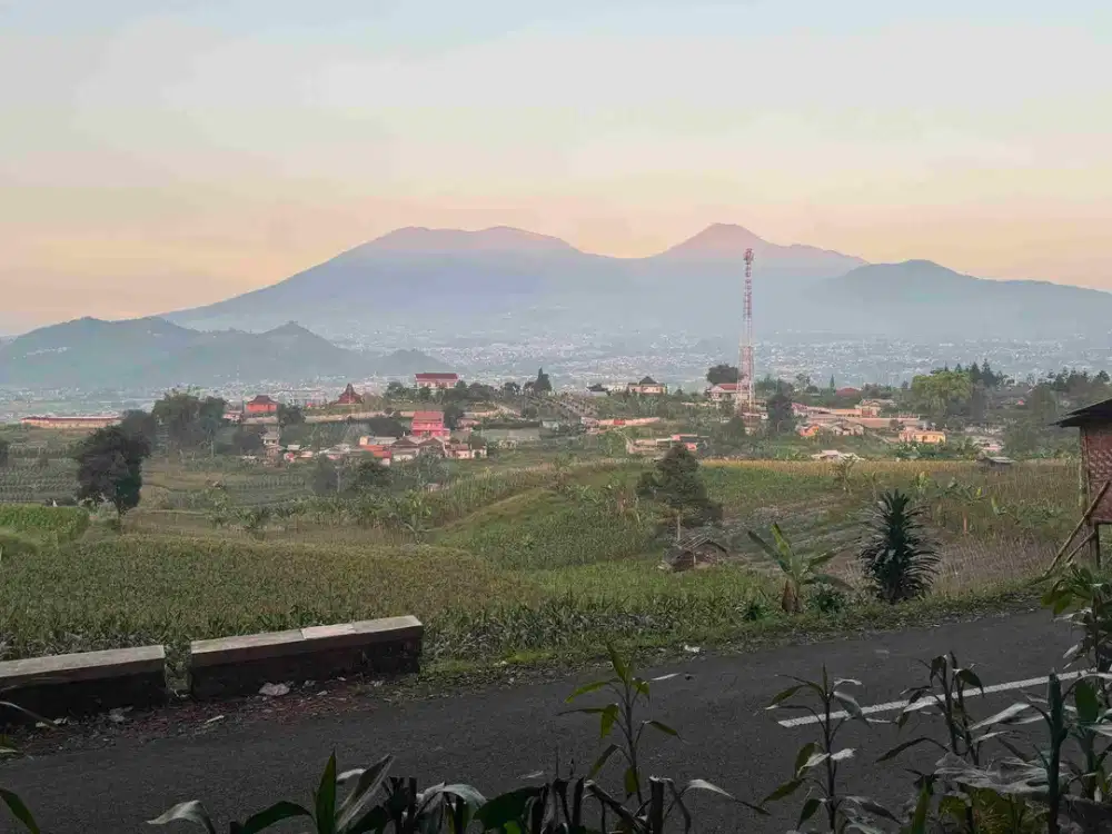 Jual Tanah Kavling Murah SHM di Puncak