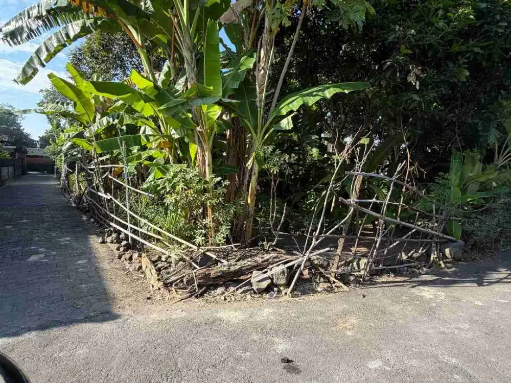 TANAH UNTUK DISEWAKAN DI BUDUK COCOK UNTUK VILLA GUESTHOUSE