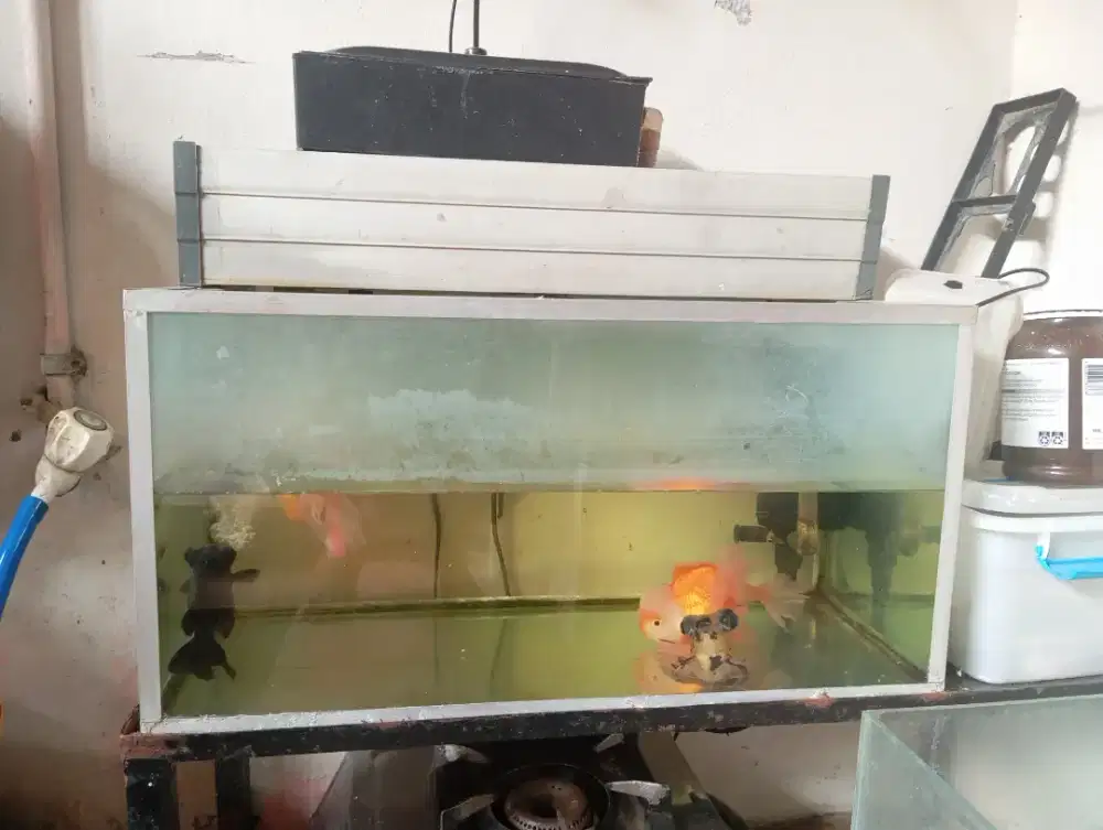 Jual aquarium fullset
