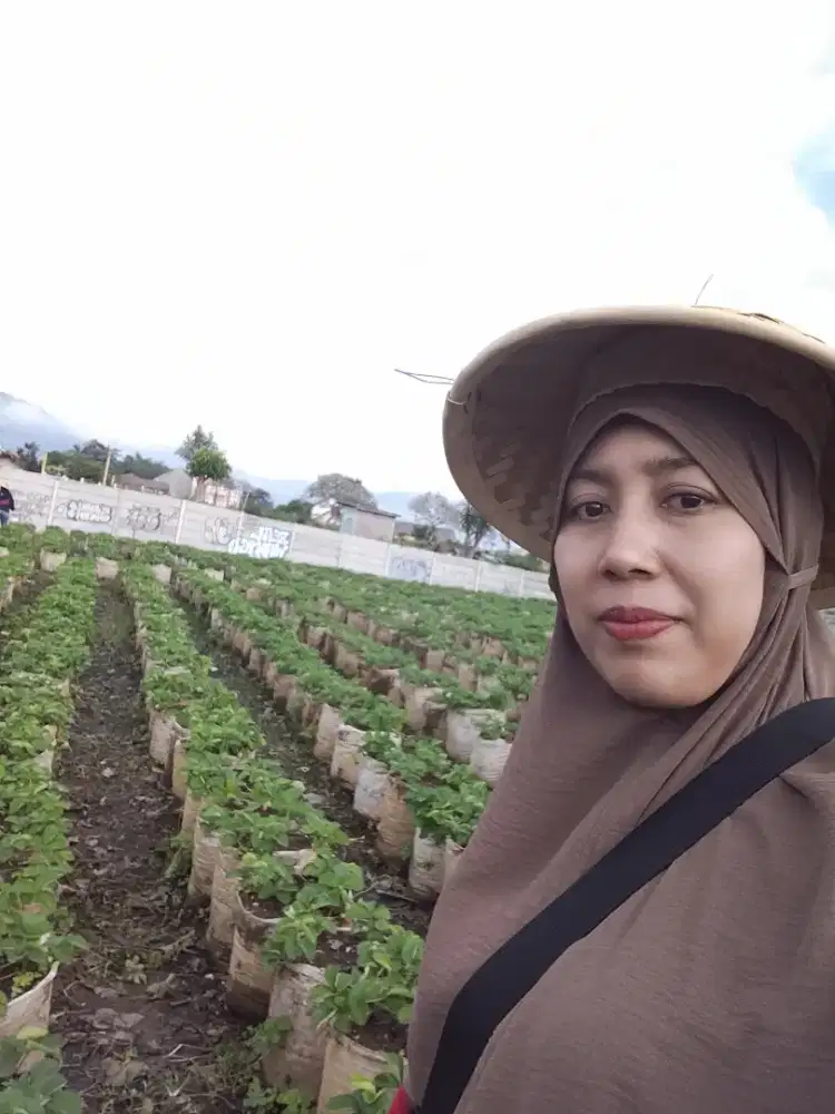 Mencari pekerjaan sebagai asisten rumah tangga